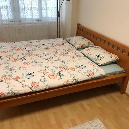 Apartment Sever Hroncova *