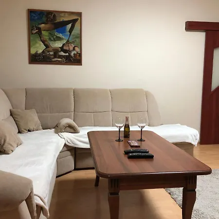 Sever Hroncova Apartment *